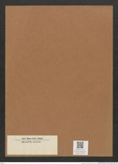Diatomeae indet. Zeichnungen Sammlung Grunow Mappe 03270 (Herbarium_W_Grunow_drawings_Folder_03270)